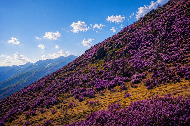 Раннее бронирование